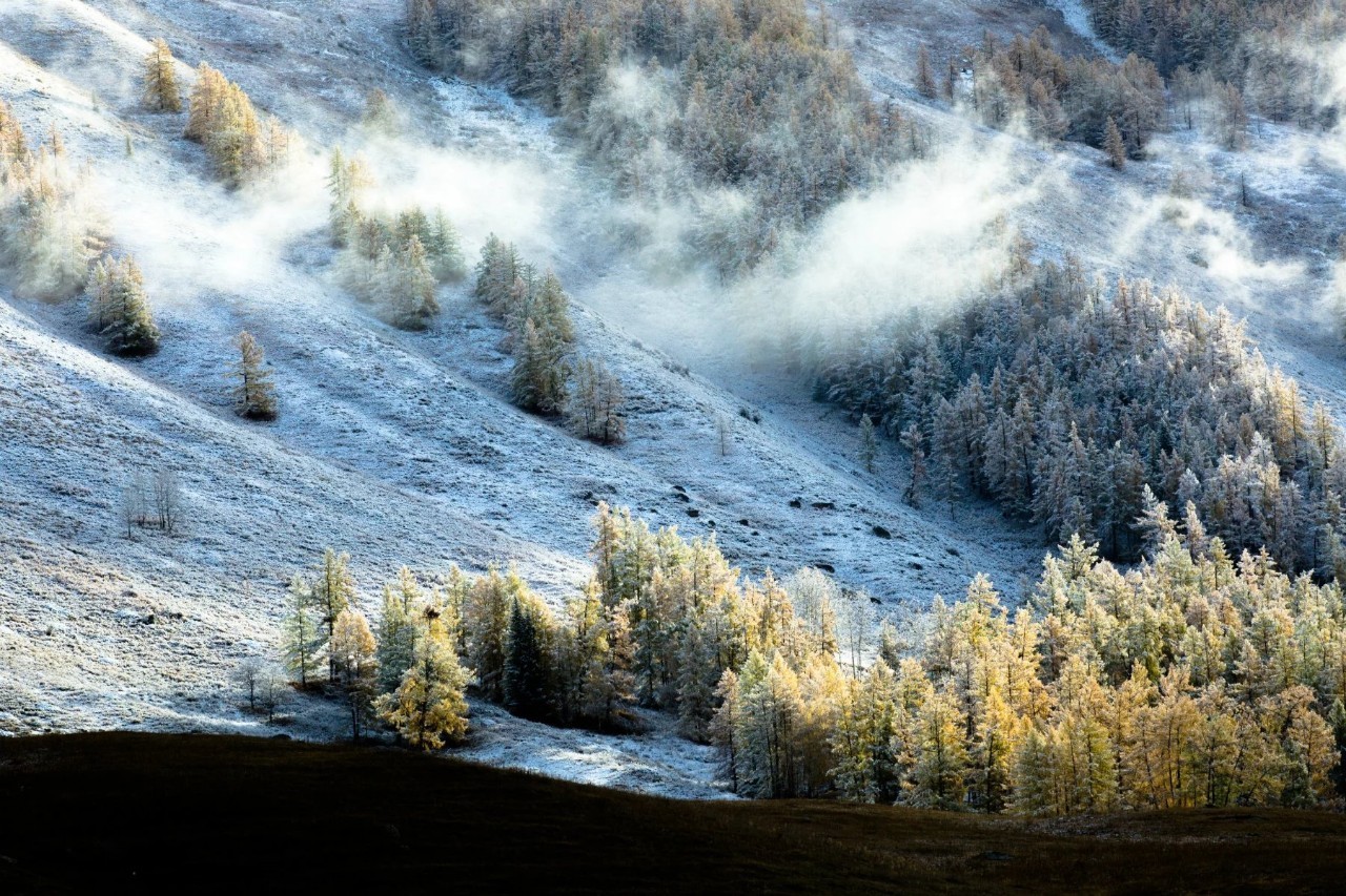 新疆,历史文化的瑰宝与繁荣发展的热土