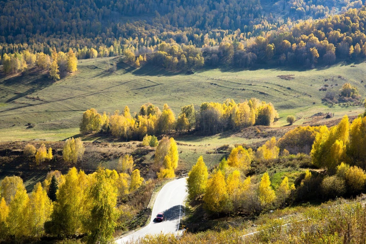 新疆,历史文化的瑰宝与繁荣发展的热土